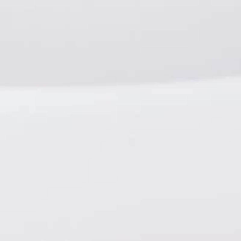 NFL Baltimore Ravens Symphony Appetizer Serving Tray Set