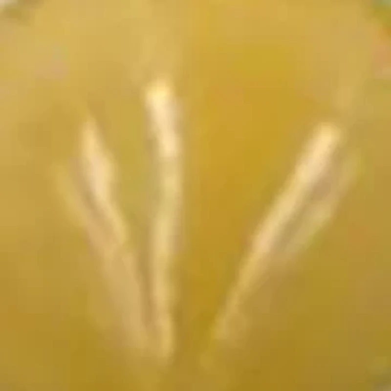 NCAA Alabama State Hornets 6" Nutcracker Ornament