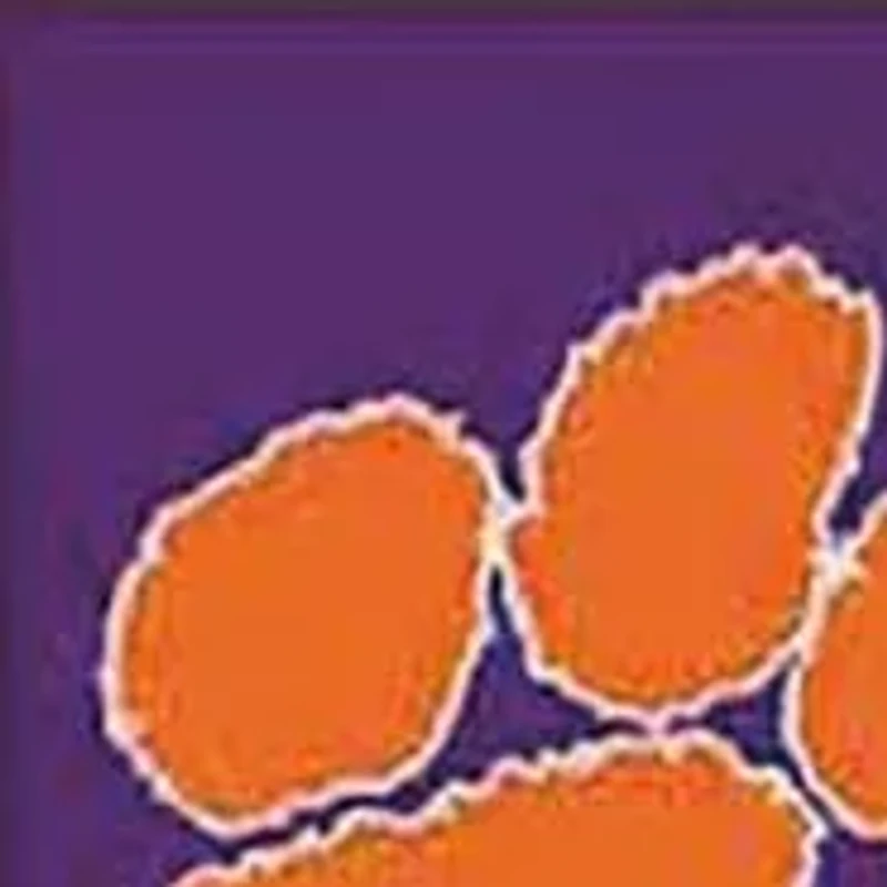 NCAA Clemson Tigers Game of the Day Ornament 