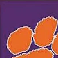 NCAA Clemson Tigers Game of the Day Ornament 