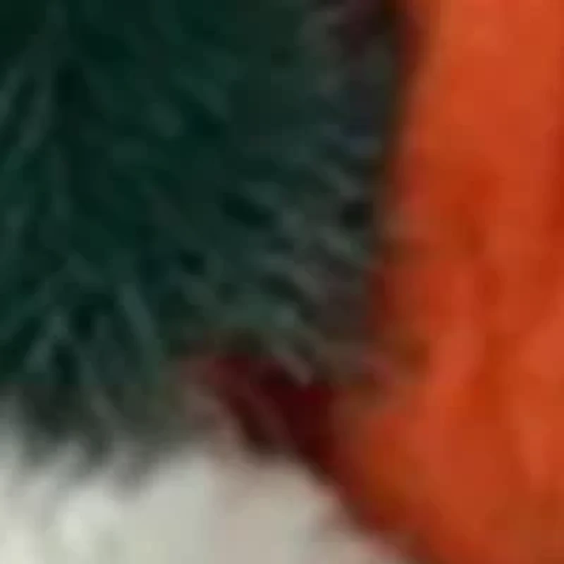 NCAA Florida Gators Santa