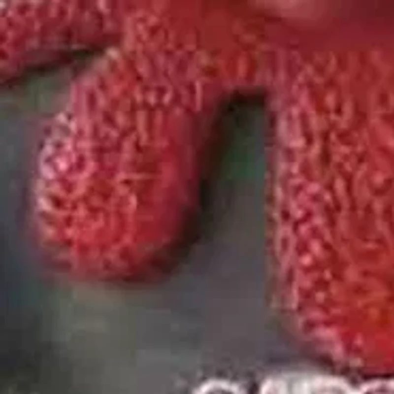 NCAA South Carolina Gamecocks  Game of the Day Ornament 