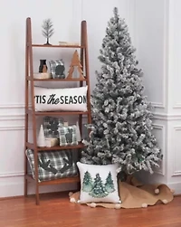 18" x 18" Evergreen Trees Throw Pillow