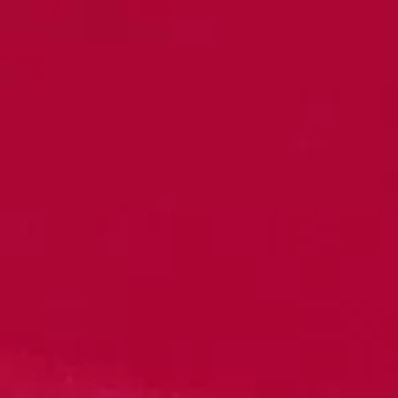 University of Alabama Crimson Tide Round Table 