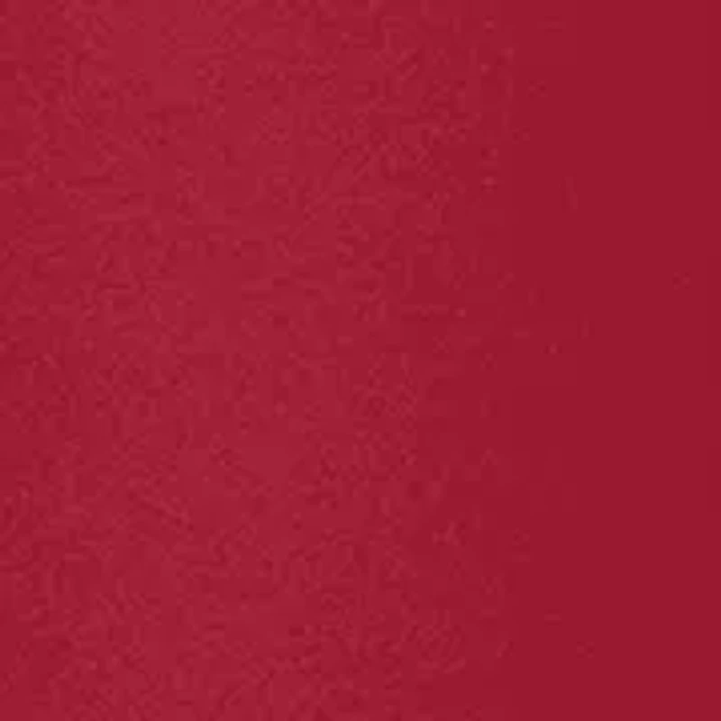 NCAA Alabama Crimson Tide 40 Ounce Replay Travel Tumbler