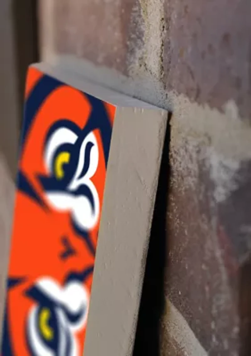 NCAA Auburn Tigers Porch Greeter