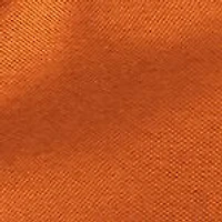  Clemson 24-Can Cooler  