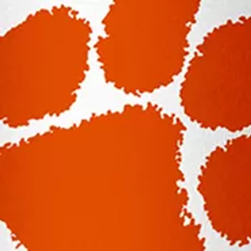 NCAA Clemson Tigers 34 Ounce Quencher Bottle