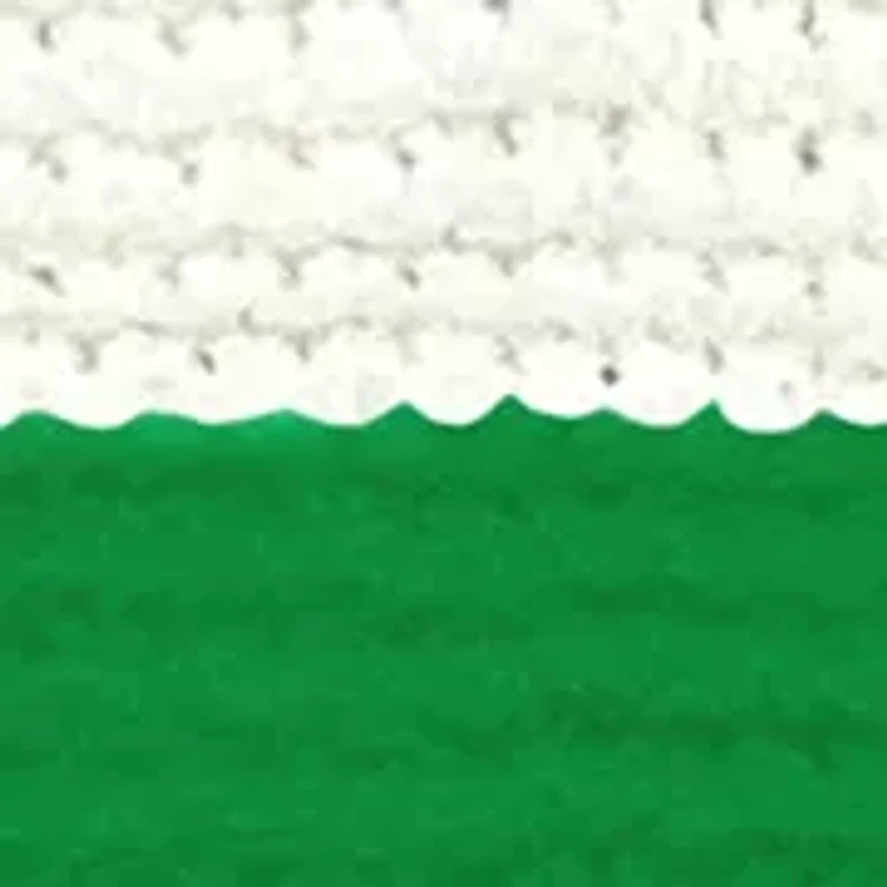 NCAA Florida A&M Rattlers Cable Knit Blanket