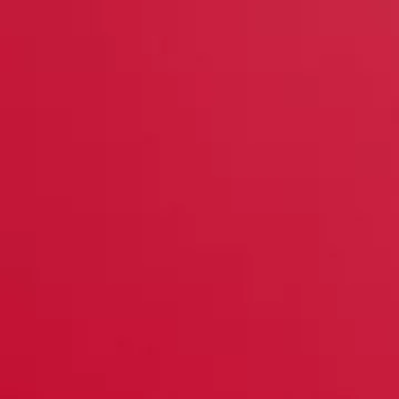 NCAA Georgia Bulldogs Inflatable Helmet