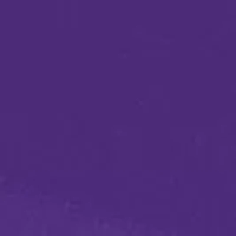 LSU Tigers NCAA LSU Round Table