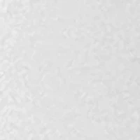 NCAA Mississippi State Bulldogs Slim Can Coolie