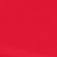 NC State Round Table 