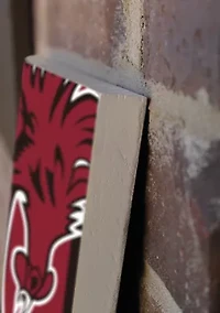 NCAA South Carolina Gamecocks Porch Greeter