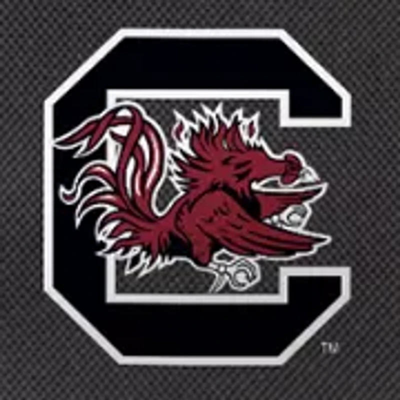 NCAA South Carolina Gamecocks Cinched Lunch Bag