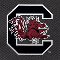 NCAA South Carolina Gamecocks Cinched Lunch Bag