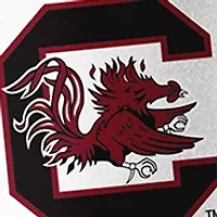 NCAA South Carolina Gamecocks 34 Ounce Quencher Bottle