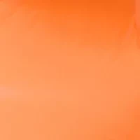 NCAA Tennessee Volunteers Inflatable Mascot