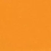 Tennessee Volunteers Round Table