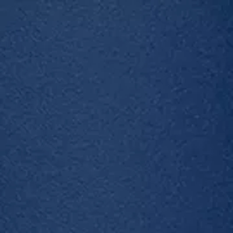 NCAA Jackson State Tigers 24OZ STEP REPEAT JSU