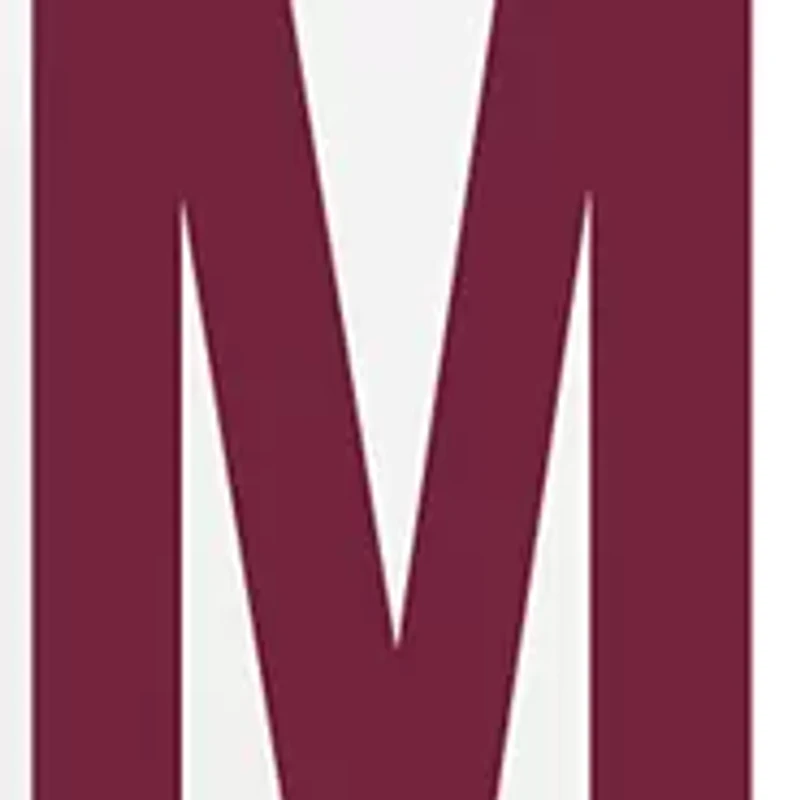 NCAA Morehouse Maroon Tigers 13 oz Overtime Glass Mug