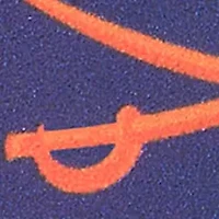 YouTheFan NCAA Virginia Cavaliers 3D Logo Series Magnets