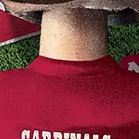 YouTheFan NFL Arizona Cardinals Retro Series Cutting Board