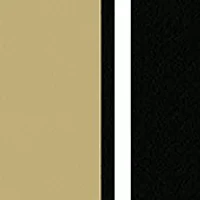 YouTheFan NCAA Central Florida Knights Logo Series Desk Pad