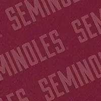 YouTheFan NCAA Florida State Seminoles Logo Series Desk Pad