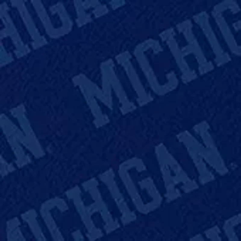 YouTheFan NCAA Michigan Wolverines Logo Series Desk Pad
