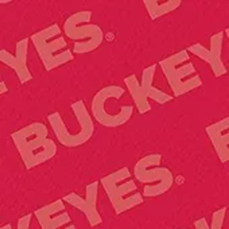 YouTheFan NCAA Ohio State Buckeyes Logo Series Desk Pad