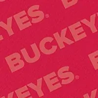 YouTheFan NCAA Ohio State Buckeyes Logo Series Desk Pad