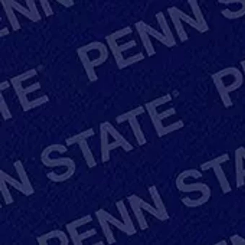 YouTheFan NCAA Penn State Nittany Lions Logo Series Desk Pad