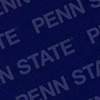 YouTheFan NCAA Penn State Nittany Lions Logo Series Desk Pad