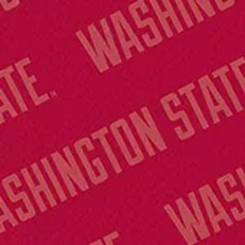 YouTheFan NCAA Washington Huskies Logo Series Desk Pad