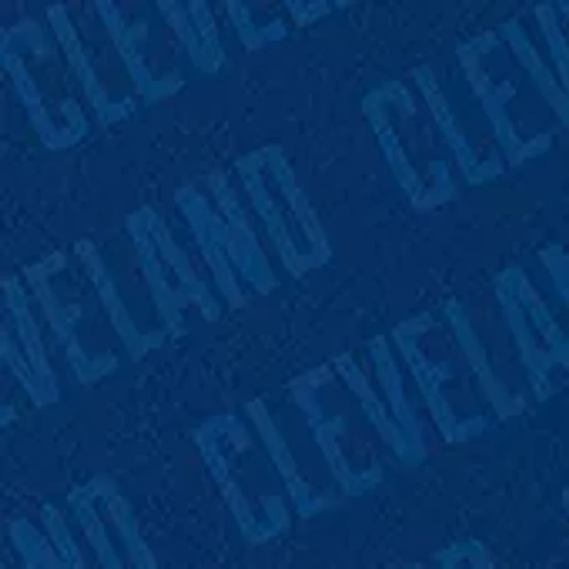 Cleveland Indians YouTheFan MLB Cleveland Guardians Logo Series Desk Pad