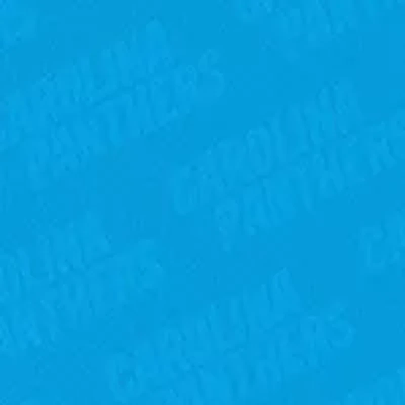 YouTheFan NFL Carolina Panthers Logo Series Desk Pad