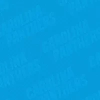 YouTheFan NFL Carolina Panthers Logo Series Desk Pad