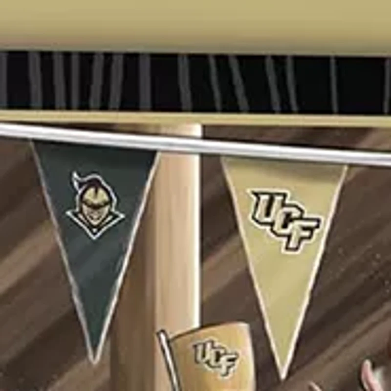 YouTheFan NCAA Central Florida Knights Barnyard Fans 500pc Puzzle