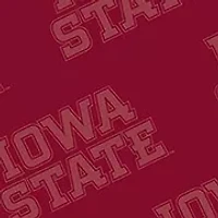 YouTheFan NCAA Iowa State Cyclones Logo Series Cutting Board
