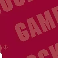 YouTheFan NCAA South Carolina Gamecocks Logo Series Cutting Board