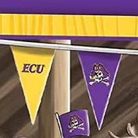 YouTheFan NCAA East Carolina Pirates Barnyard Fans 500pc Puzzle