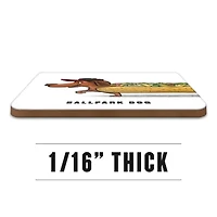 YouTheFan MLB Oakland Athletics Licensed Memory Match Game