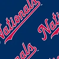 YouTheFan MLB Washington Nationals Licensed Memory Match Game