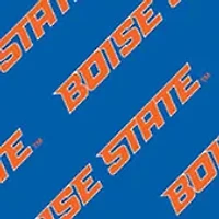 YouTheFan NCAA Boise State Broncos Licensed Memory Match Game
