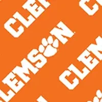 YouTheFan NCAA Clemson Tigers Licensed Memory Match Game