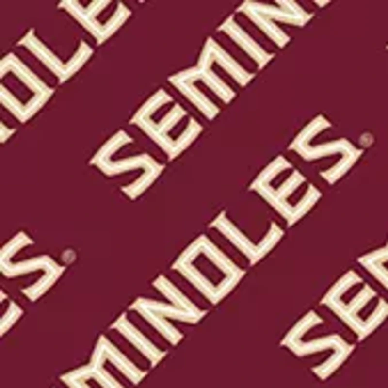 Florida State Seminoles YouTheFan NCAA Florida State Licensed Memory Match Game