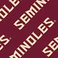 Florida State Seminoles YouTheFan NCAA Florida State Licensed Memory Match Game