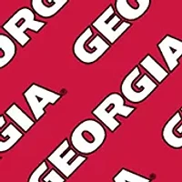 NCAA Georgia Bulldogs Licensed Memory Match Game