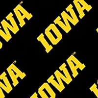 YouTheFan NCAA Iowa Hawkeyes Licensed Memory Match Game
